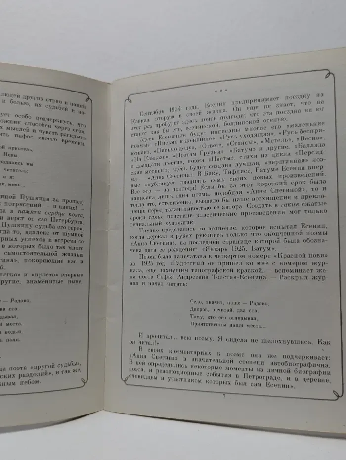 Школьная библиотека. Анна Снегина