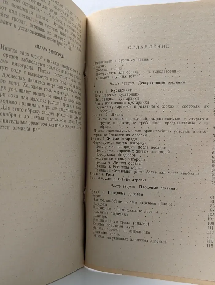 Руководство по обрезке декоративных и плодовых растений