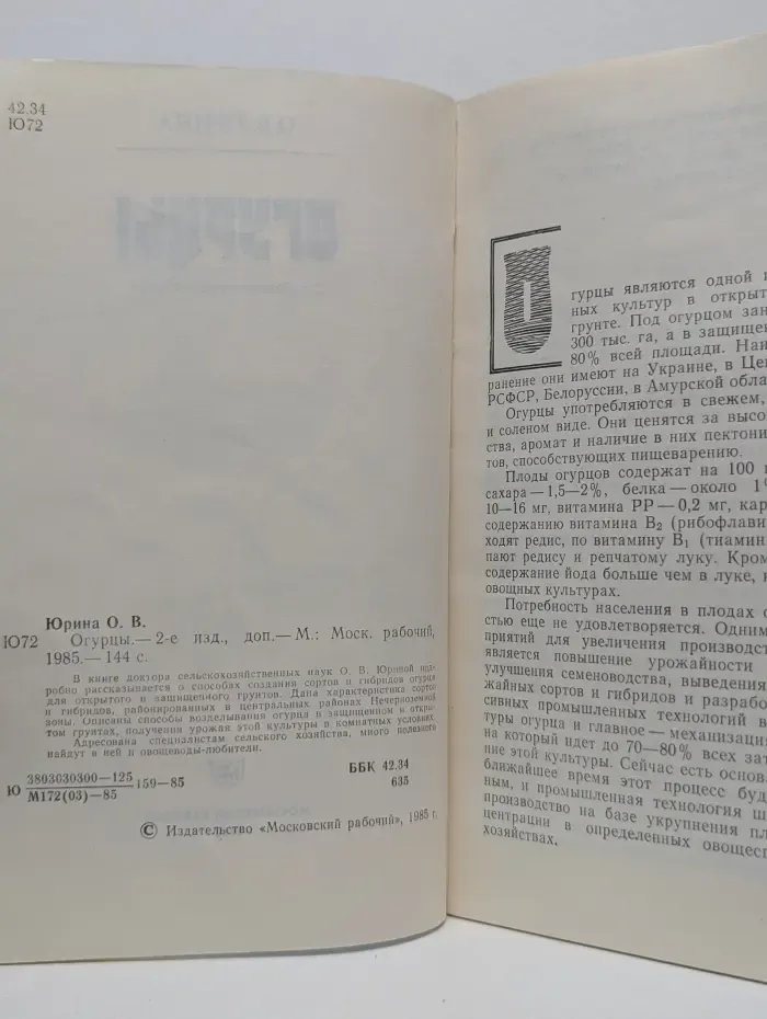 Огурцы