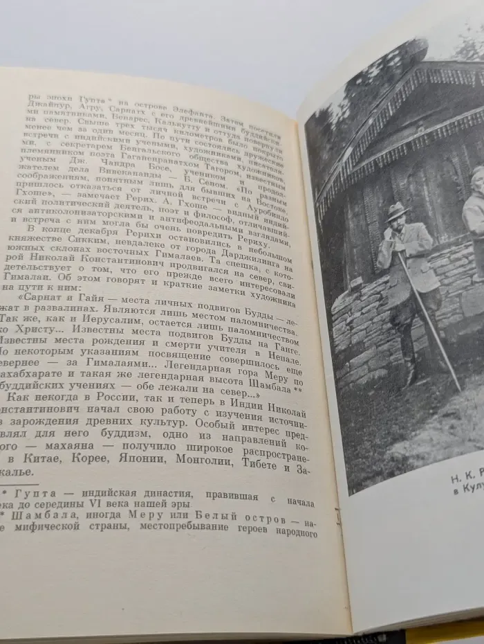 Жизнь замечательных людей. Рерих