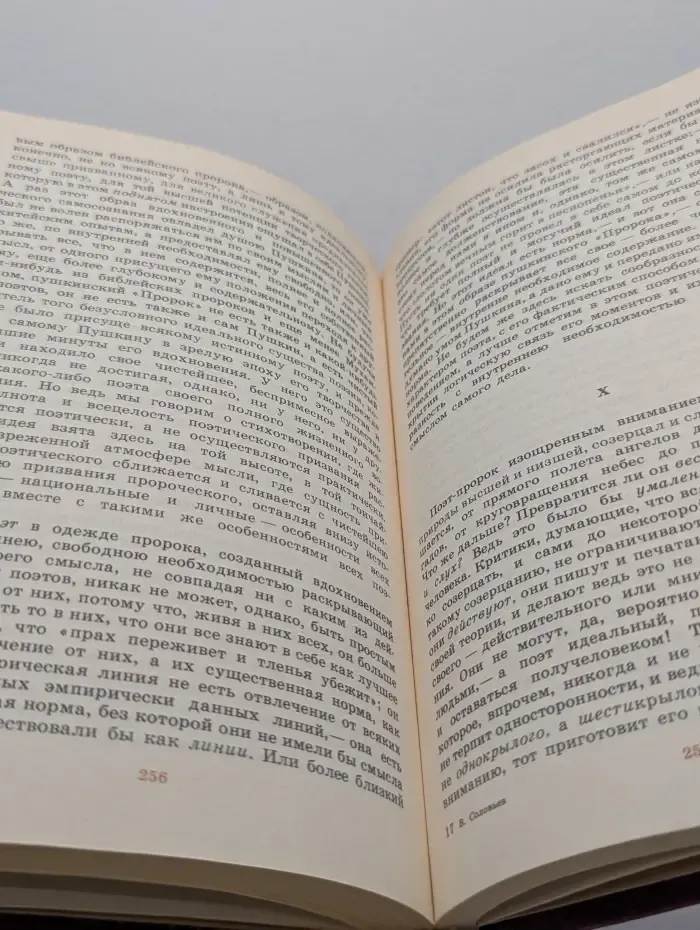 Библиотека Любителям российской словесности. В. С. Соловьев. Литературная критика