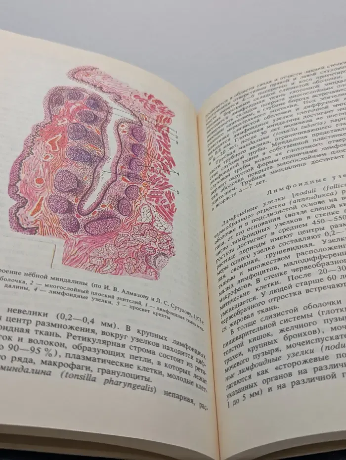 Анатомия человека. В 2 книгах