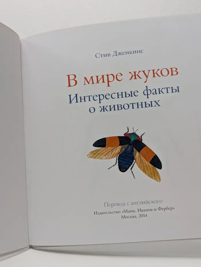В мире жуков. Интересные факты о животных