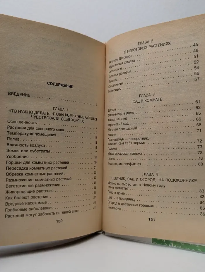 Для девочек. Комнатные растения для девочек