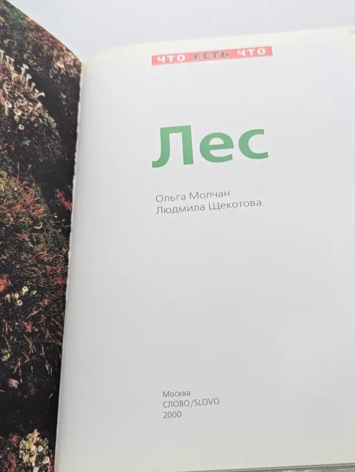 Что есть что. Лес