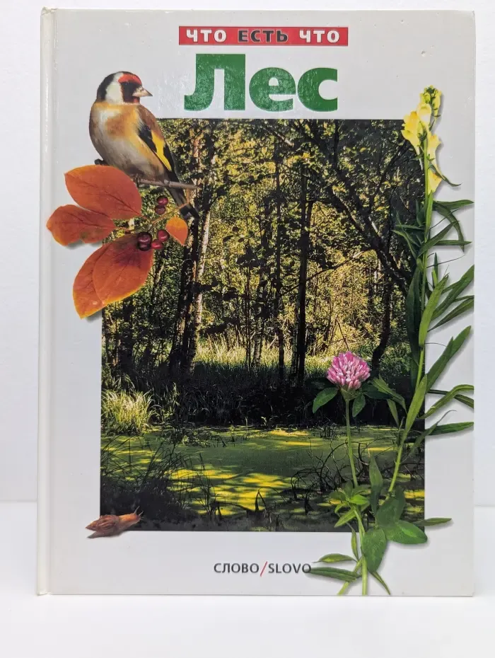 Что есть что. Лес