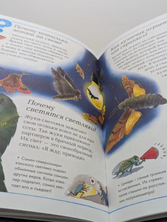 Энциклопедия для умников и умниц. Насекомые