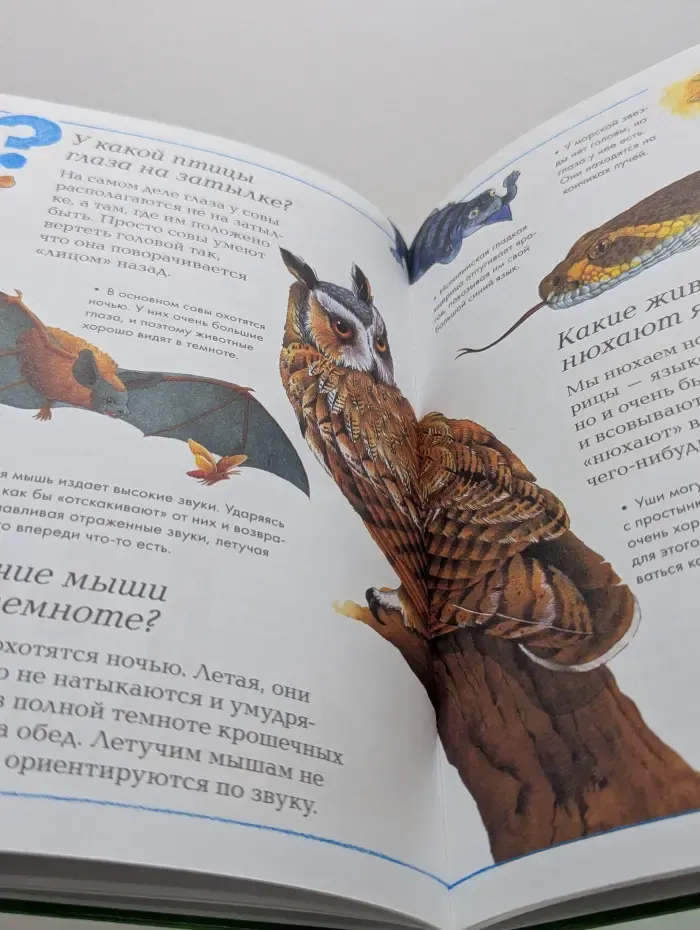 Энциклопедия для умников и умниц. Мир животных