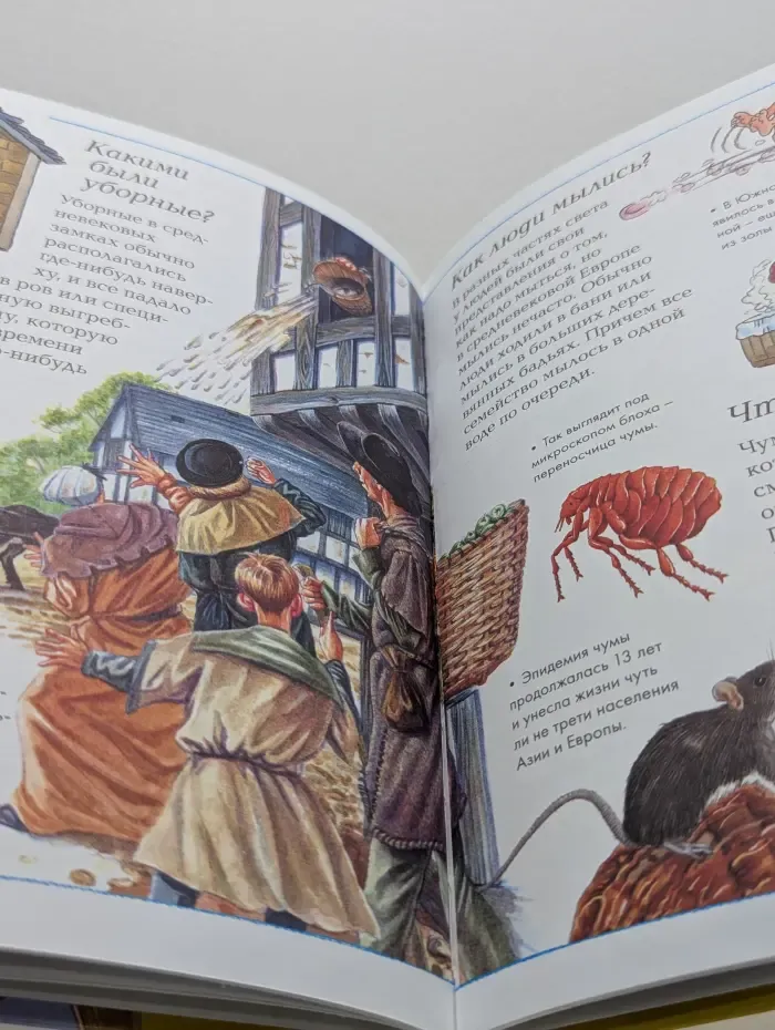 Рыцари и замки