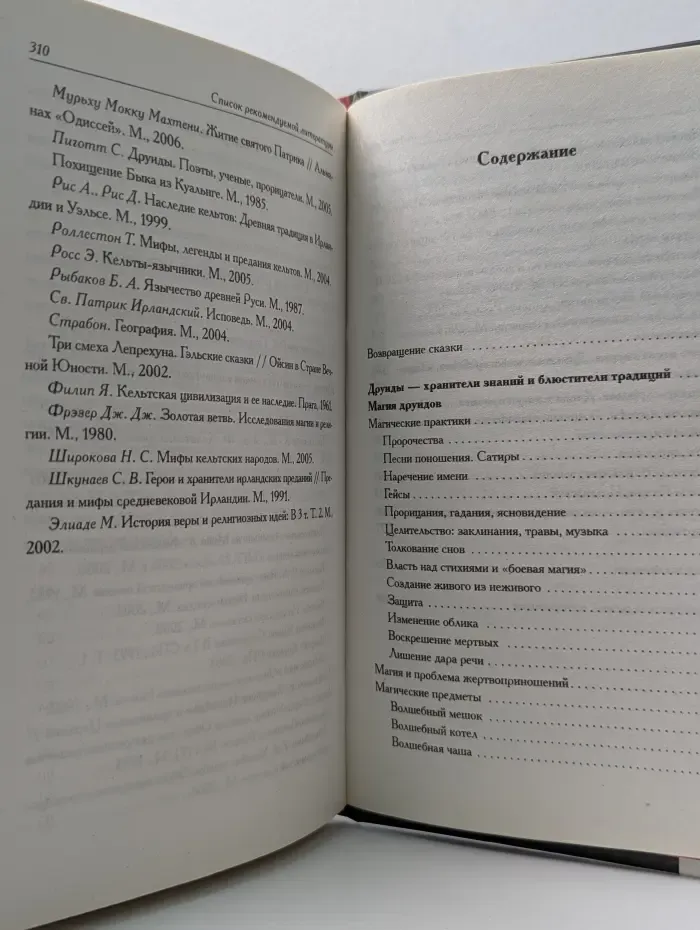 Александрийская библиотека. Книга друидов