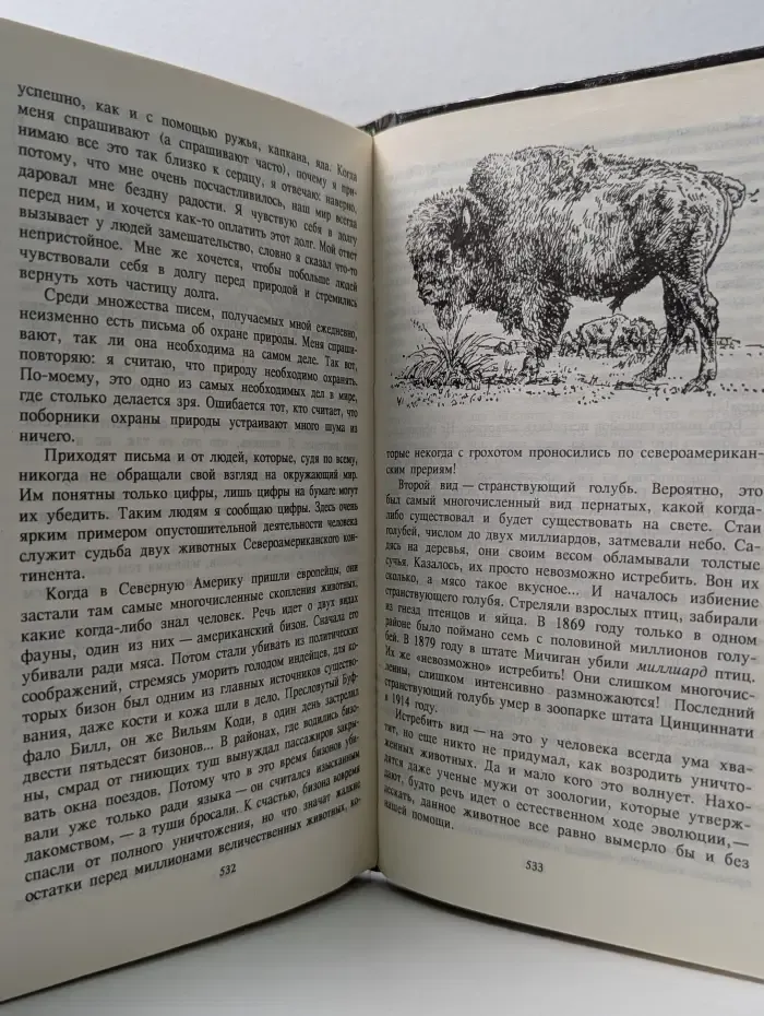 Зеленая серия. Земля шорохов