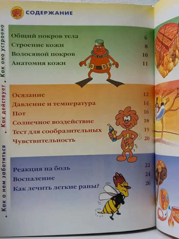 Как устроено тело человека. Выпуск № 9/2007. Кожа