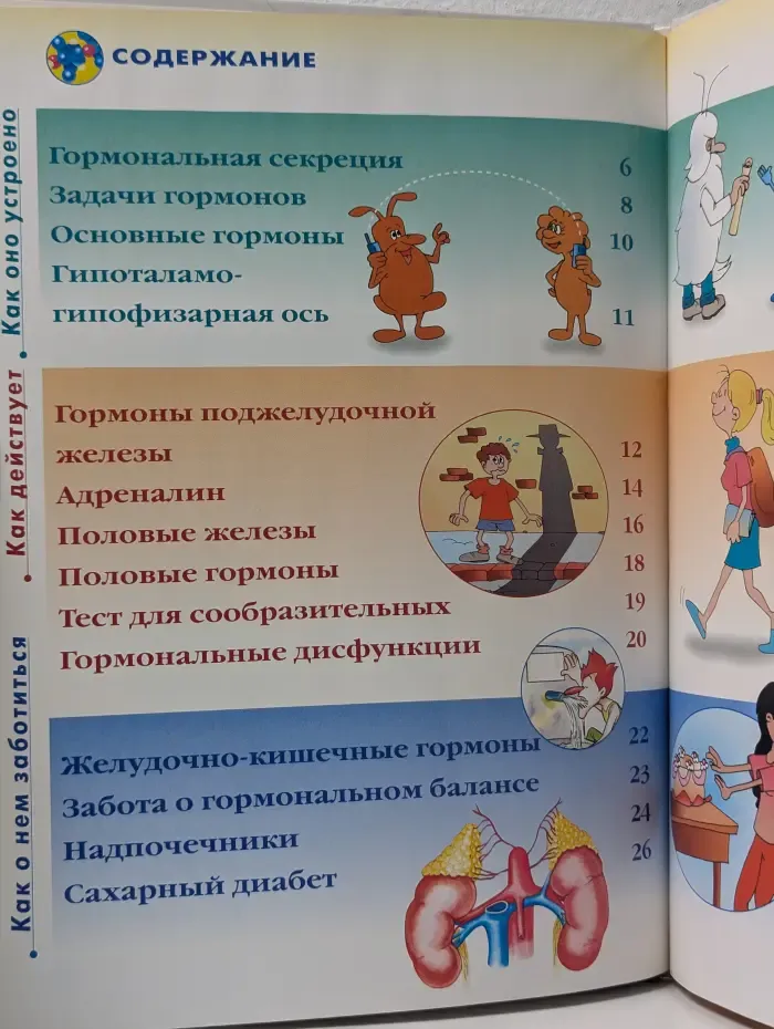 Как устроено тело человека. Выпуск № 40. Гормоны. Часть 2