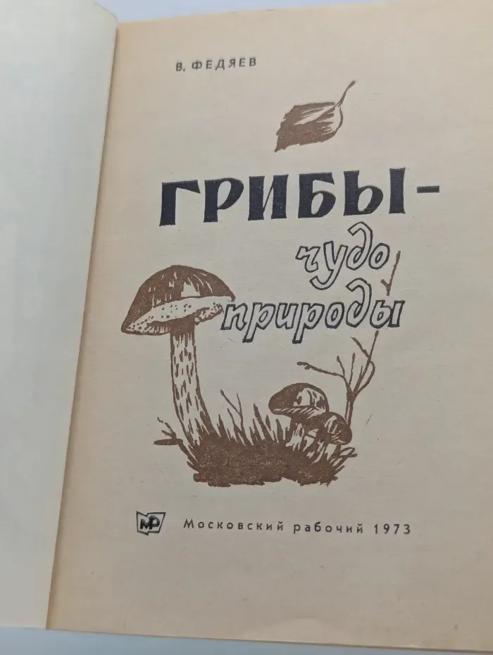 Грибы — чудо природы