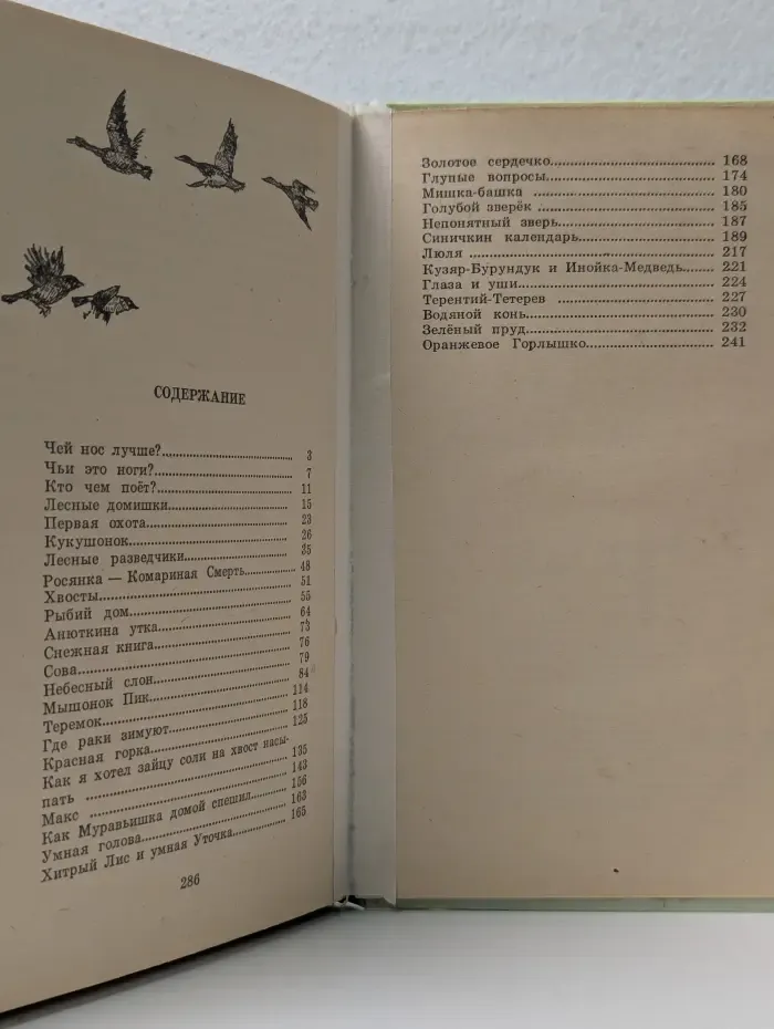 Лесные разведчики