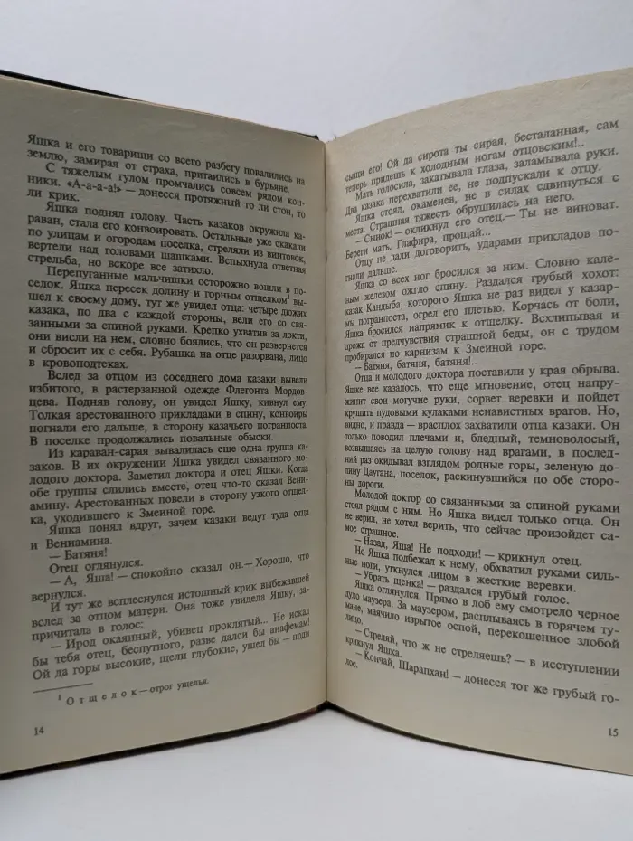 Совершенно секретно. Черный беркут