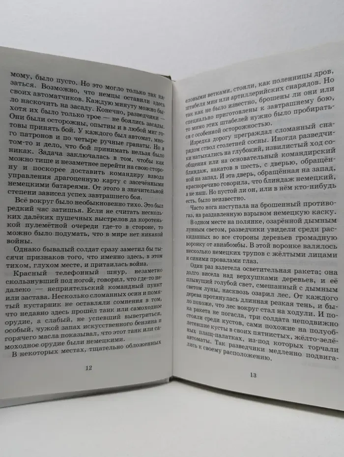 Школьная библиотека. Сын полка