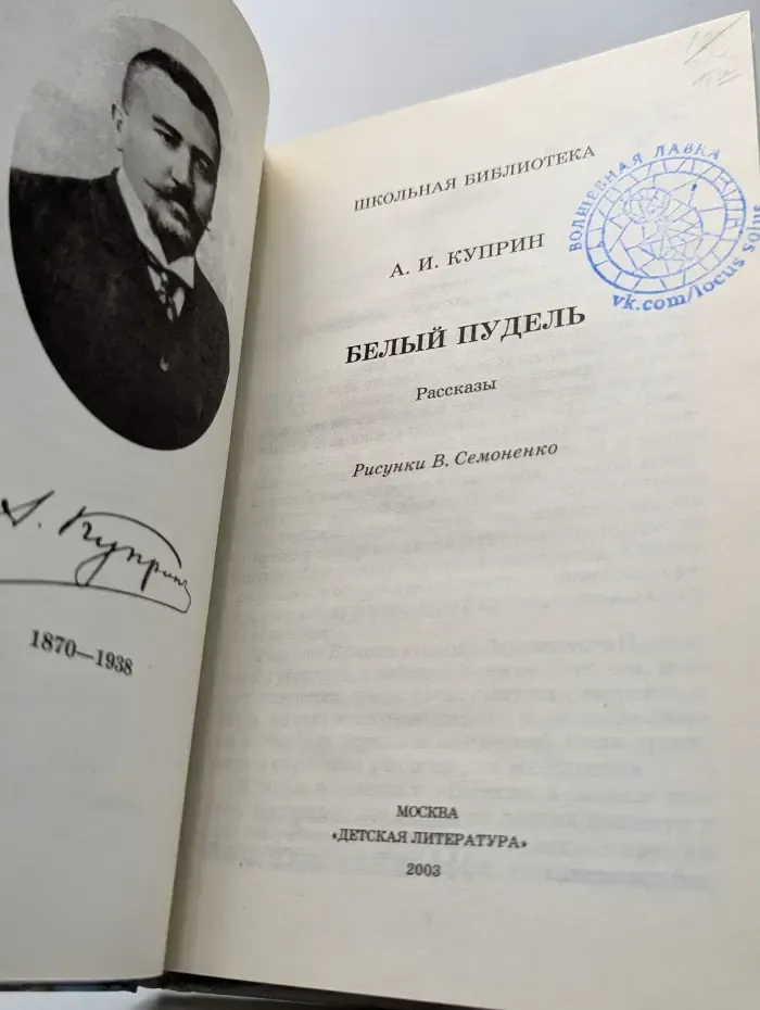Школьная библиотека. Белый пудель