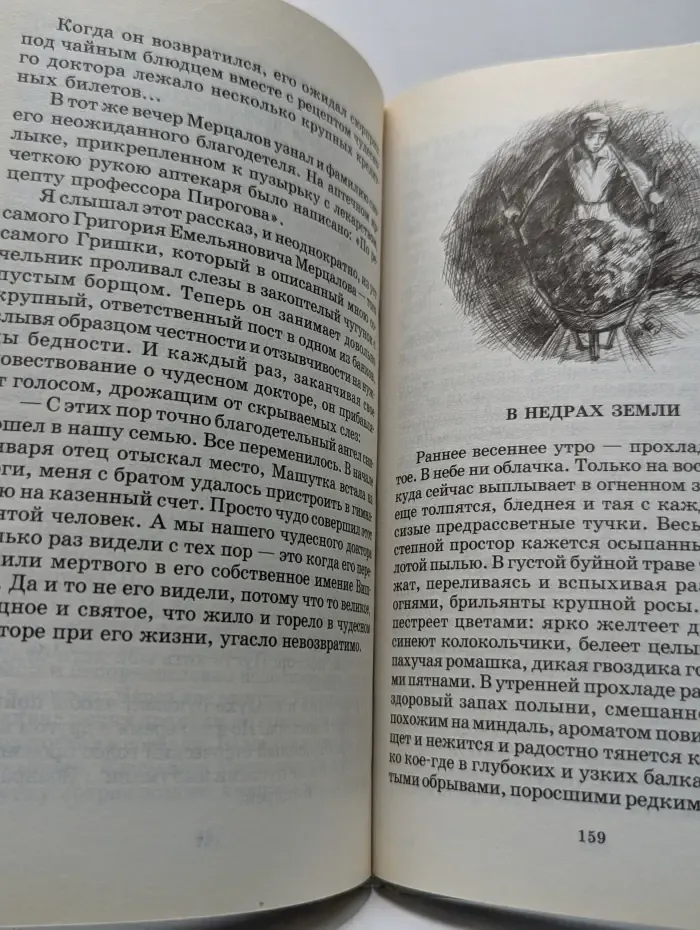 Школьная библиотека. Белый пудель