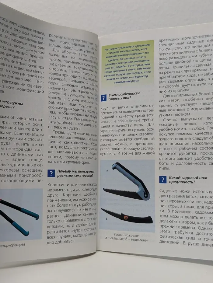 Всё об обрезке деревьев и кустарников. Вопросы и ответы