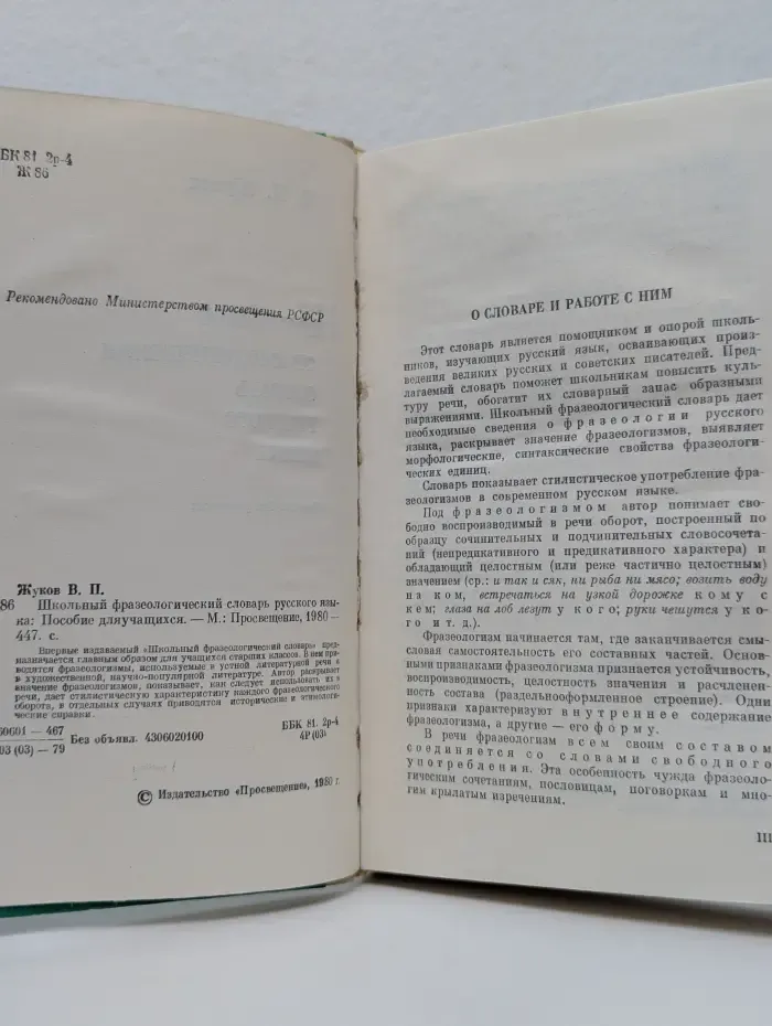 Школьный фразеологический словарь русского языка