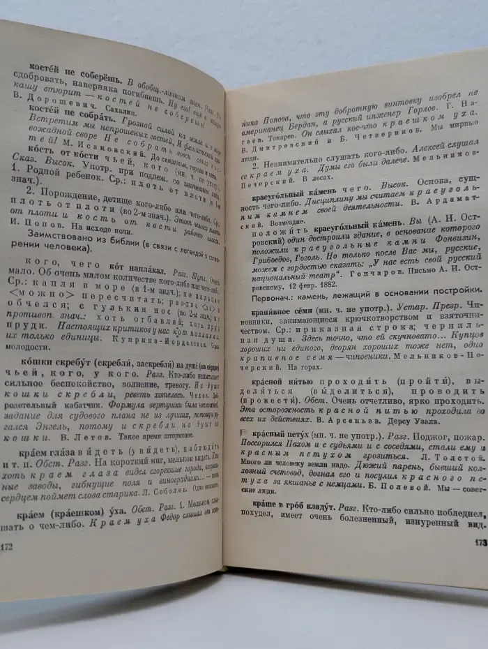 Школьный фразеологический словарь русского языка