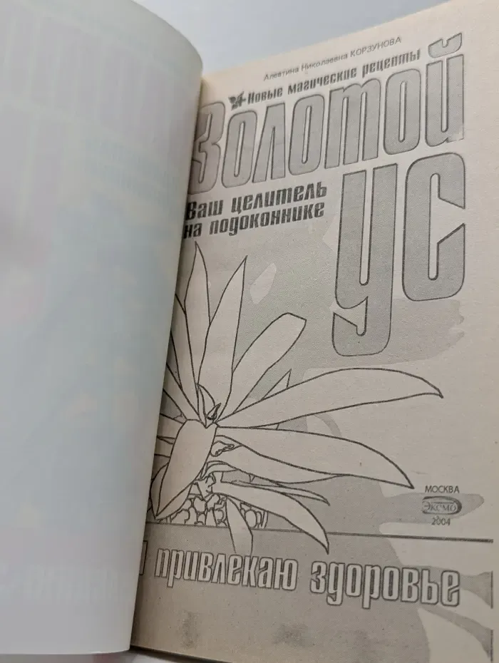 Новые магические рецепты. Золотой ус - ваш целитель на подоконнике