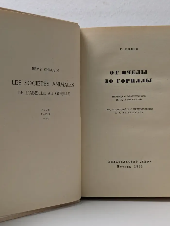 От пчелы до гориллы