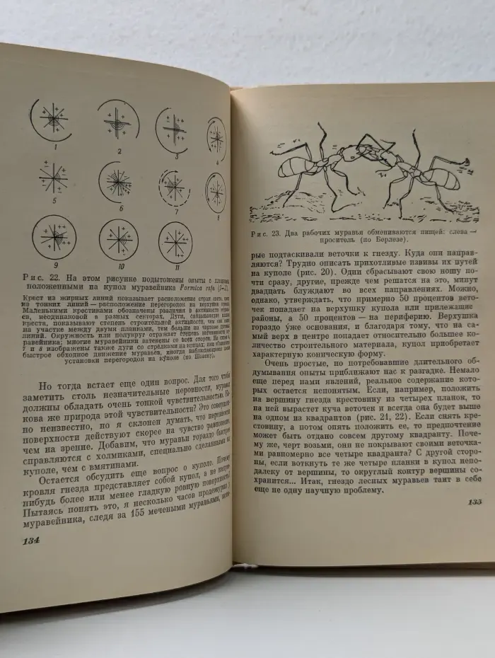 От пчелы до гориллы