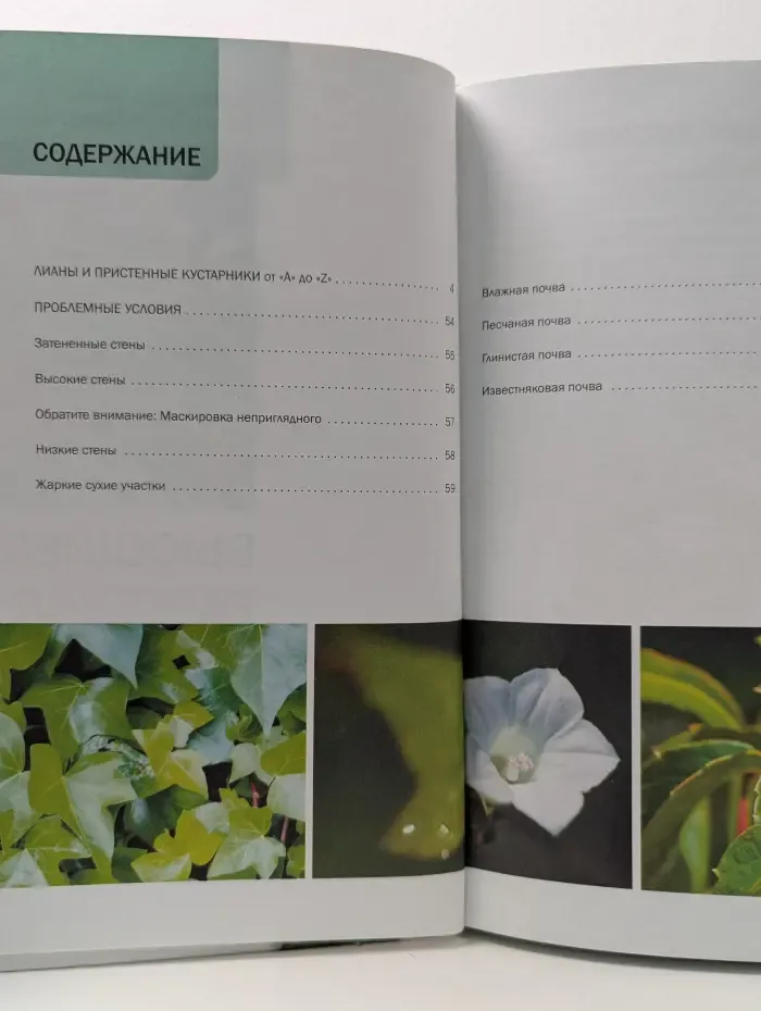 Наш сад. Вьющиеся растения. Иллюстрированный справочник
