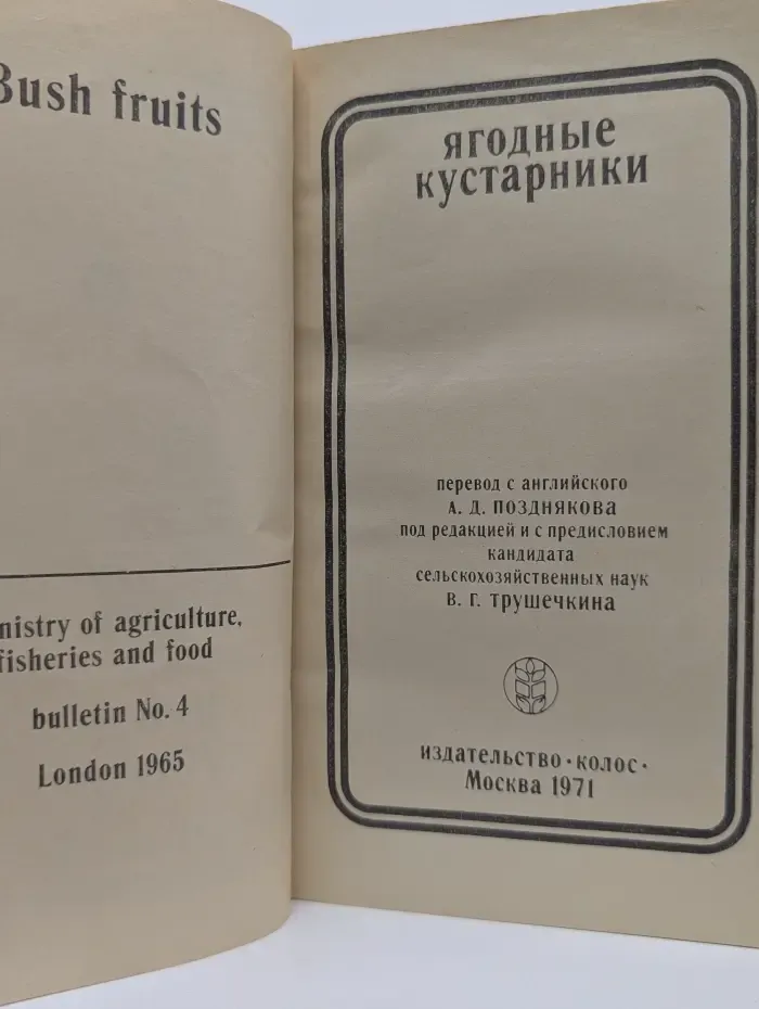 Ягодные кустарники