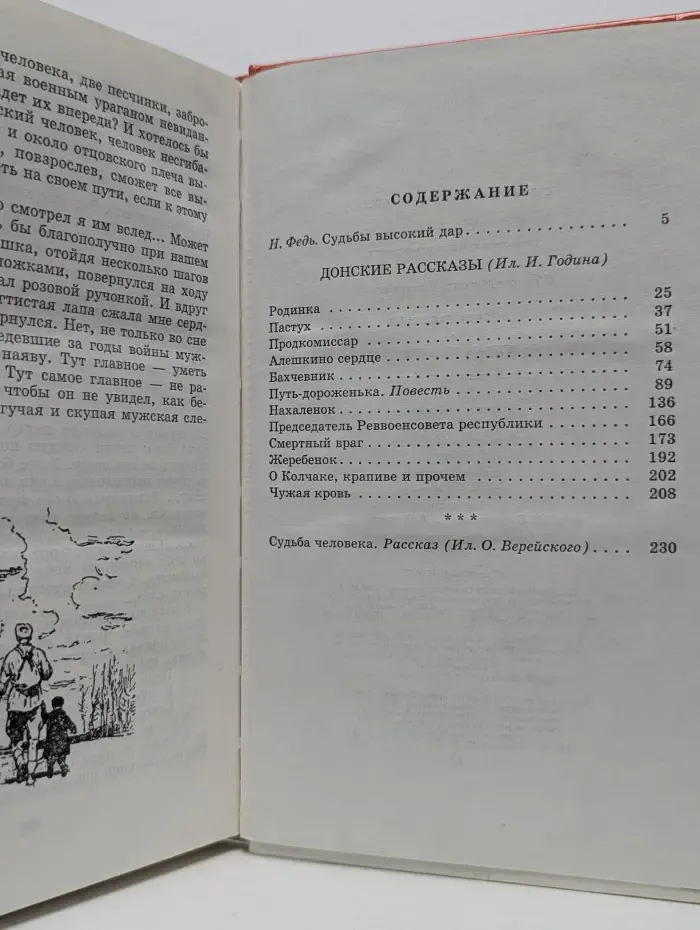 Школьная библиотека. Донские рассказы. Судьба человека