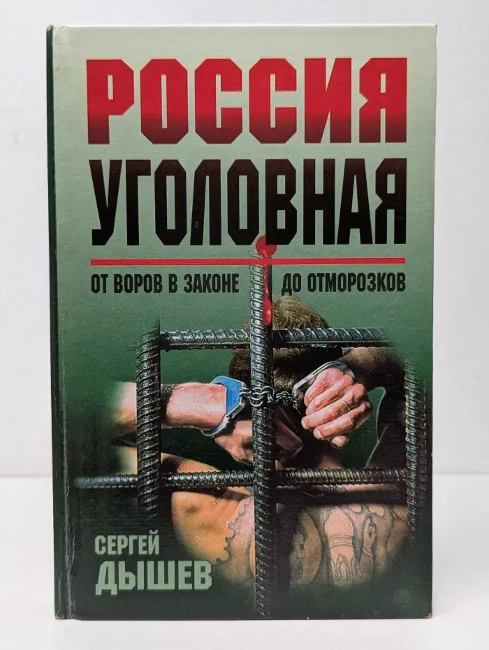 Россия уголовная. От воров в законе до отморозков