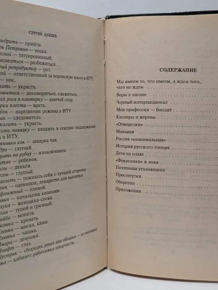 Россия уголовная. От воров в законе до отморозков