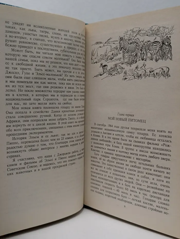 Зеленая серия. Пятнистый сфинкс. Пиппа бросает вызов