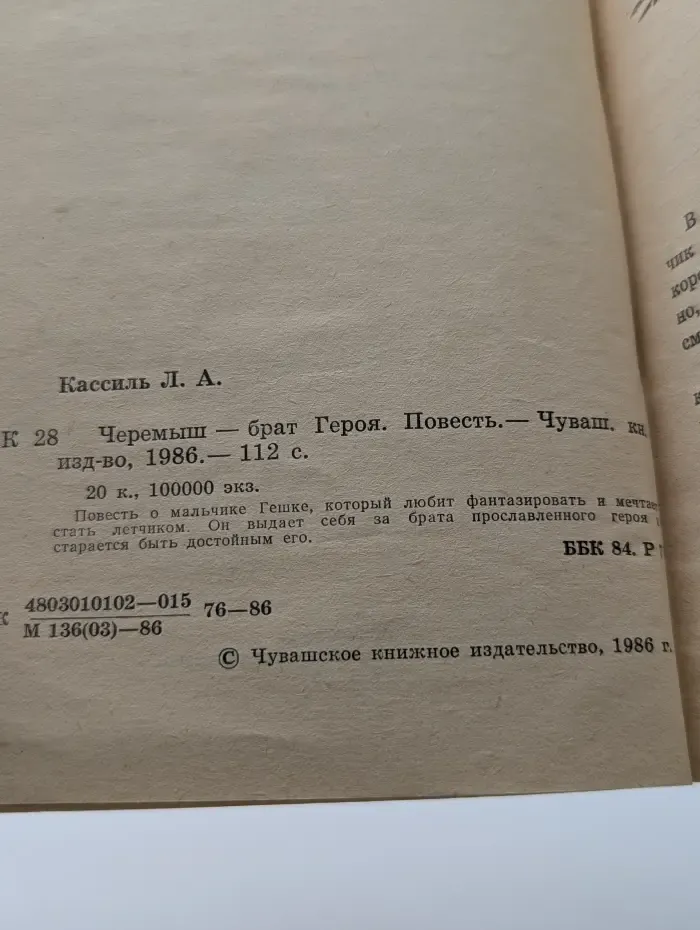 Школьная библиотека. Черемыш - брат героя
