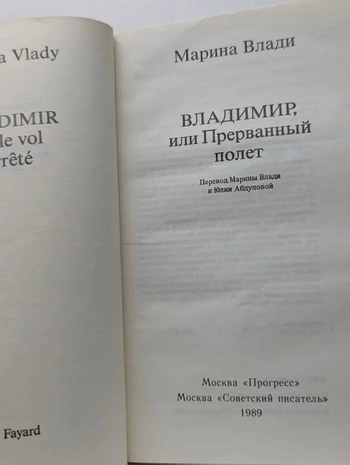 Владимир, или Прерванный полет