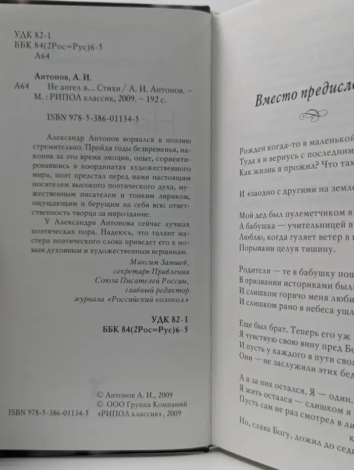 Не ангел я. Стихи
