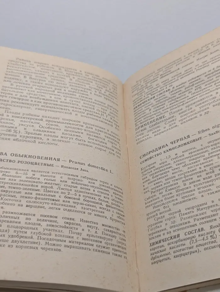 Лекарственные свойства сельскохозяйственных растений
