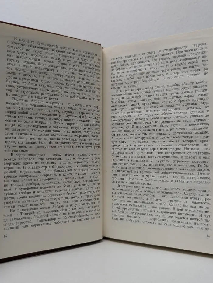 Плаха
