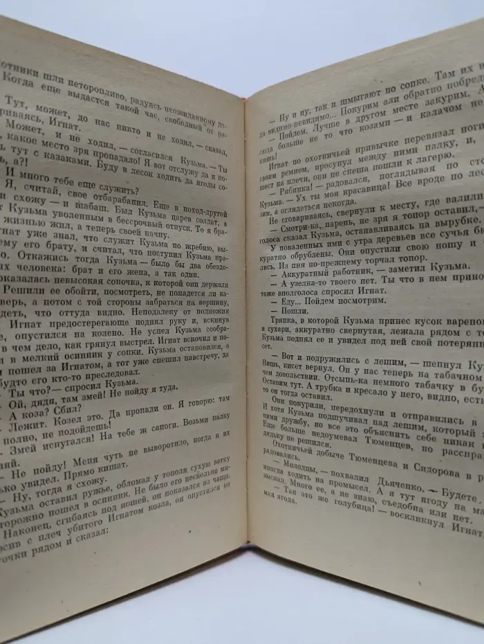 Амурские версты
