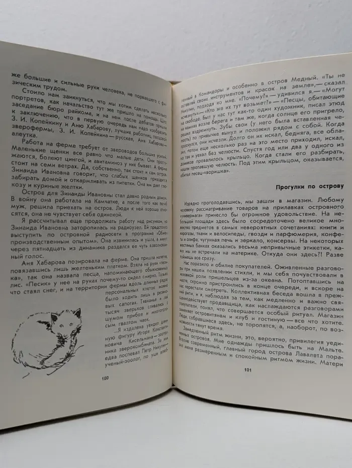 На берегах Мечигмена