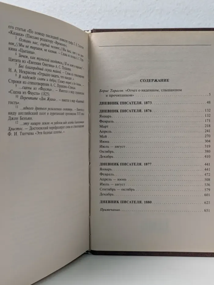 Дневник писателя