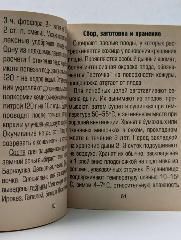Дача кормит и лечит