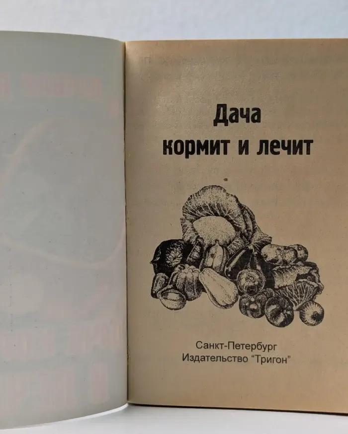 Дача кормит и лечит