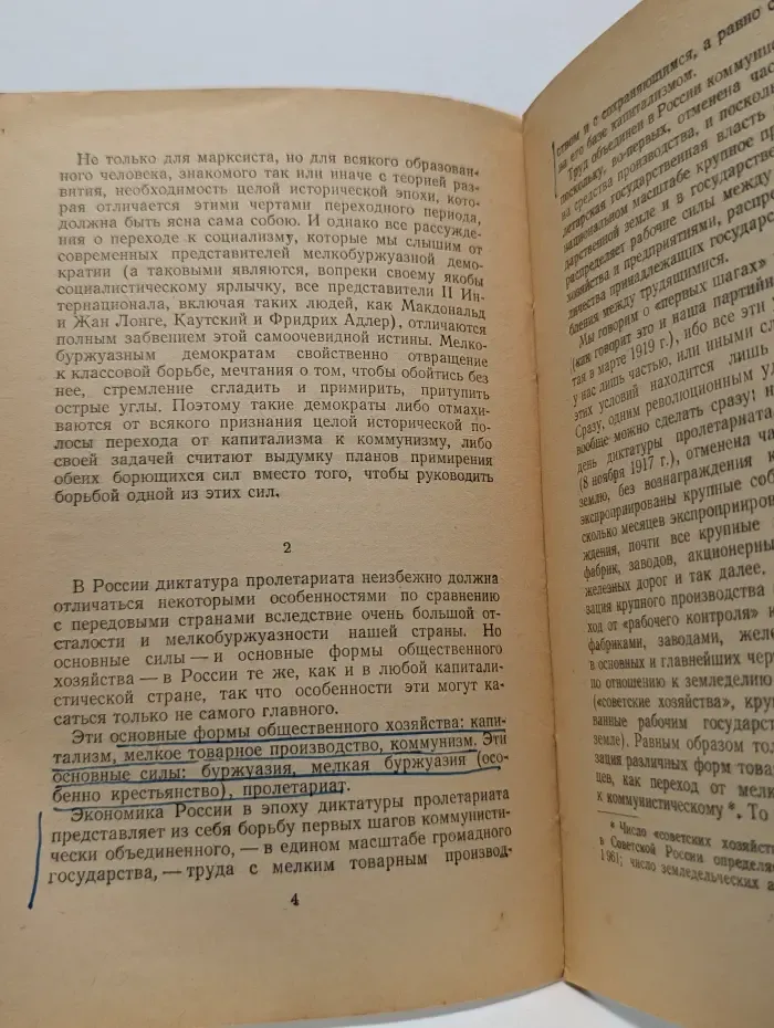 Экономика и политика в эпоху диктатуры пролетариата