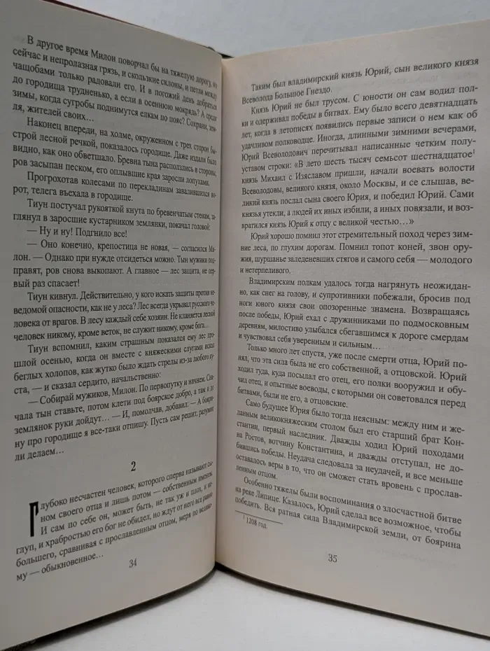 Всемирная история в романах. Русский щит