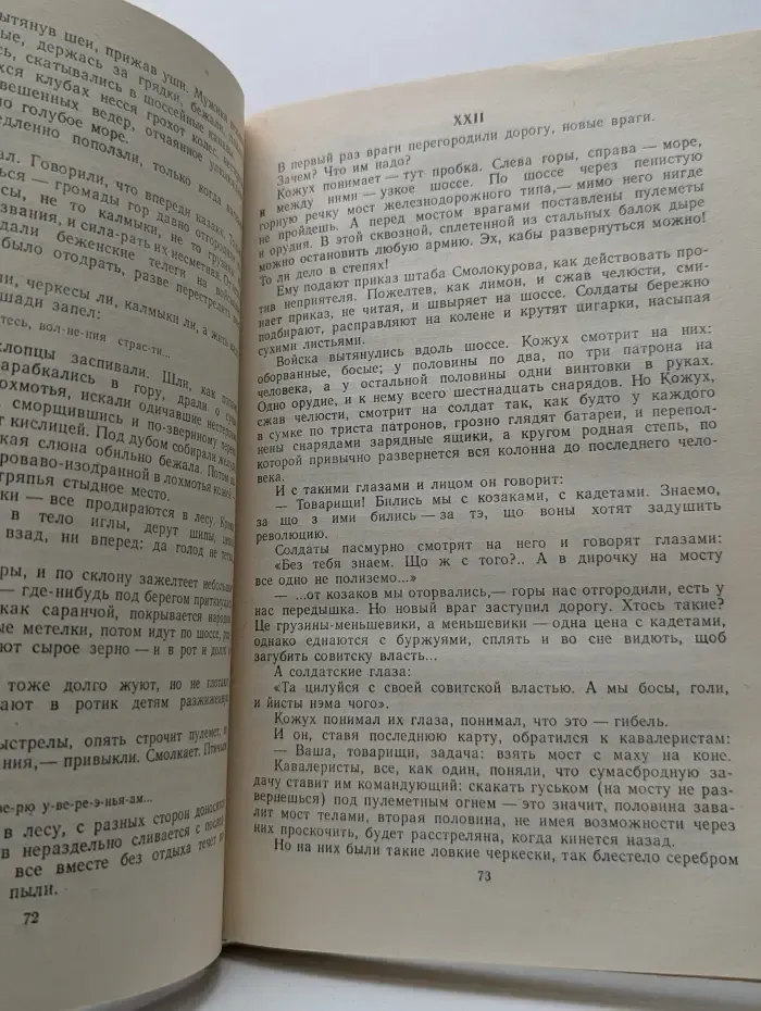 Железный поток. Разгром