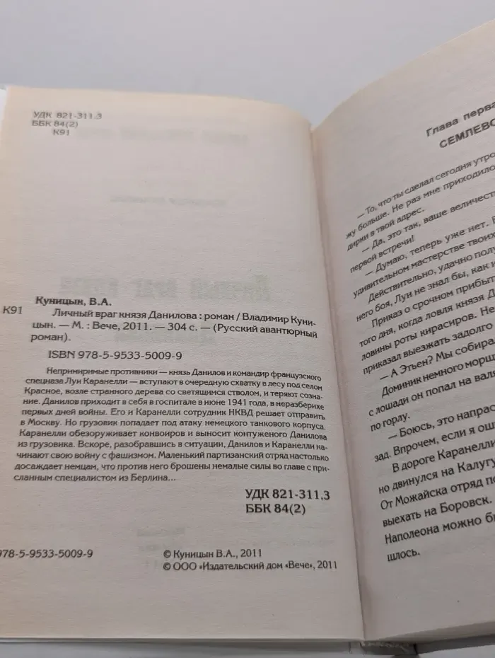 Русский авантюрный роман. Личный враг князя Данилова
