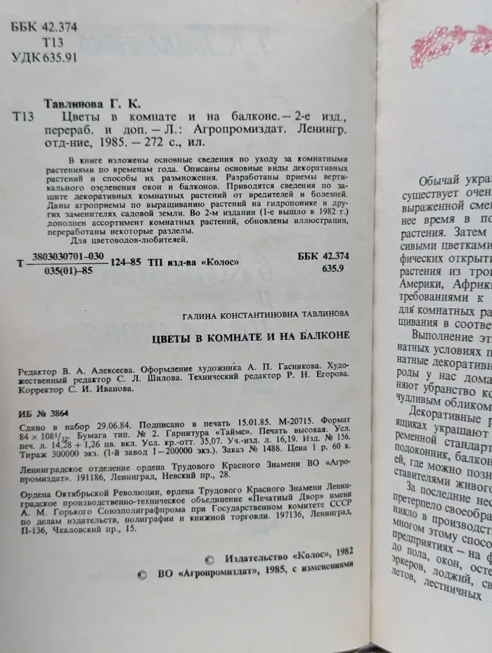 Цветы в комнате и на балконе